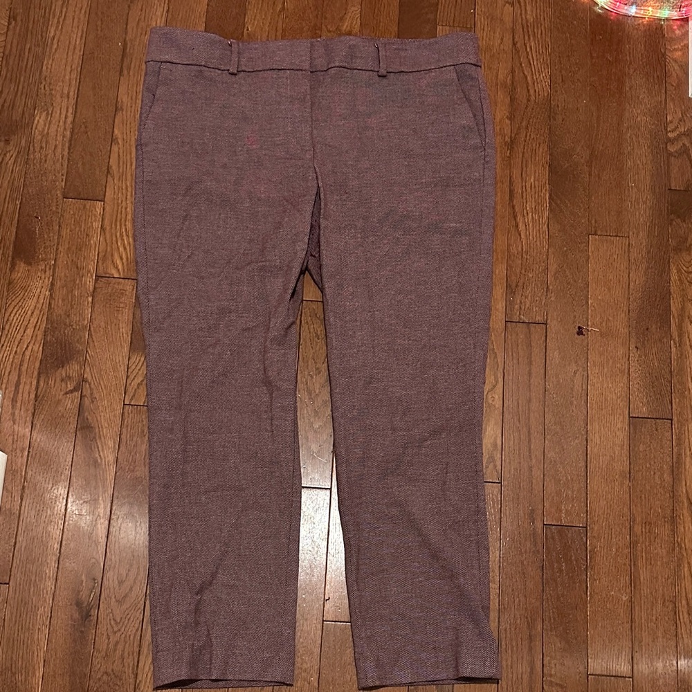 Loft Classic maroon Pants
